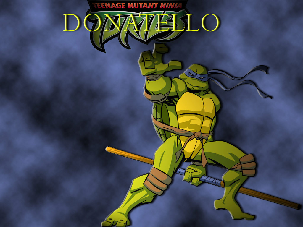 tmnt_wall_donny.jpg
